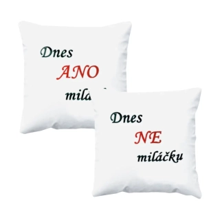 Dekorační polštářek Polštář Dnes ano-ne miláčku
